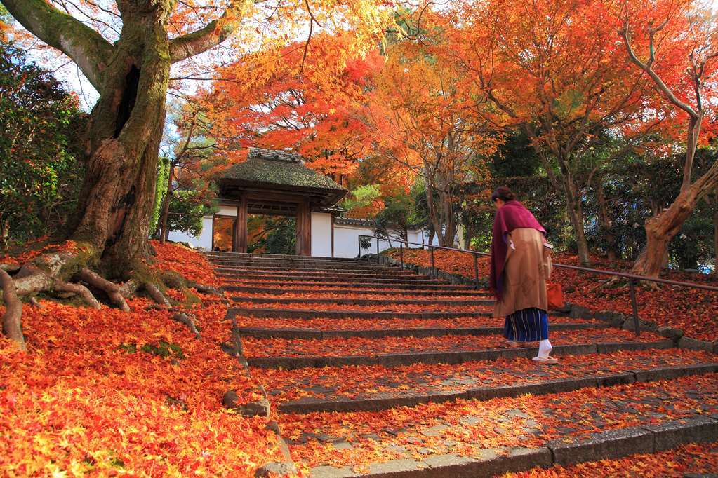 Kyoto Royal Hotel & Spa Екстер'єр фото